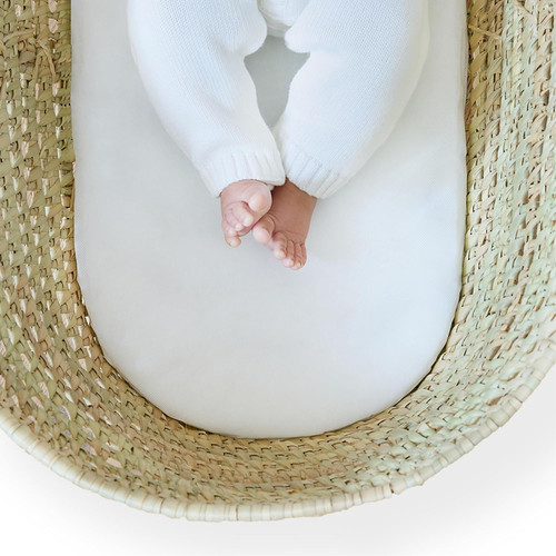 Clair lune moses basket - de,