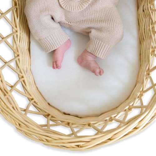 Clair lune moses basket - moses,